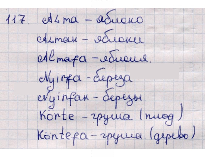 Скан решения номера 117