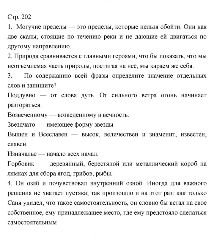 Скан решения номера 202