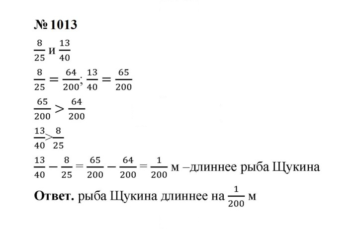 Скан решения номера 1013