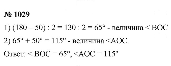 Скан решения номера 1029