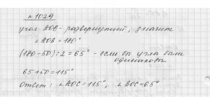 Скан решения номера 1029