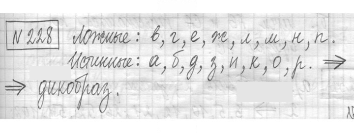 Скан решения номера 228