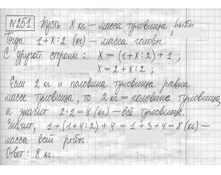 Скан решения номера 251