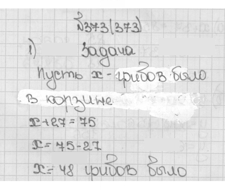 Скан решения номера 373 (373)