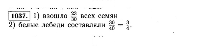 Скан решения номера 1037 (188)