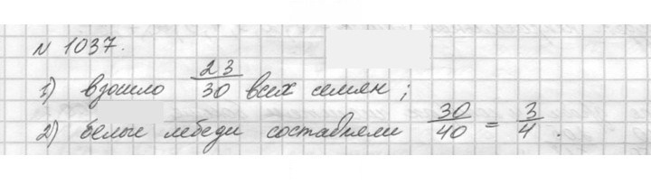 Скан решения номера 1037 (188)