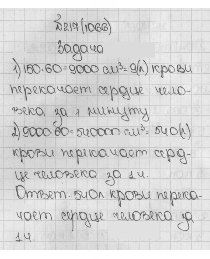 Скан решения номера 1066 (217)