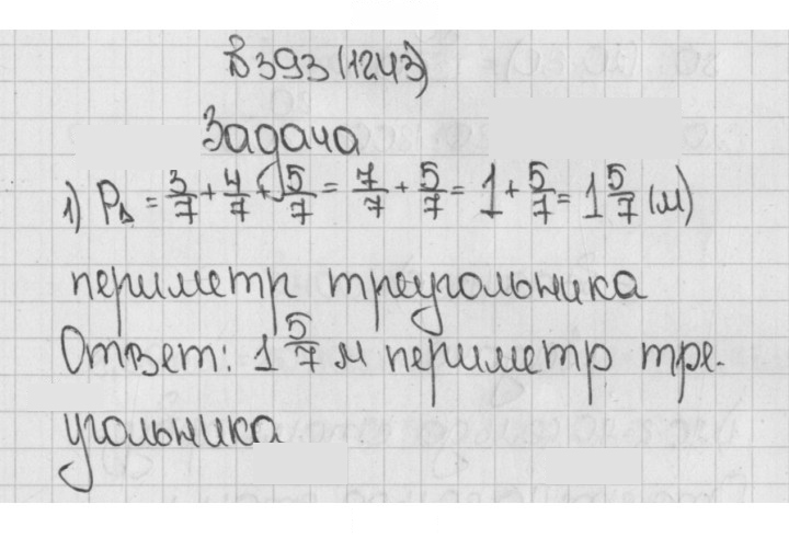 Скан решения номера 1243 (393)