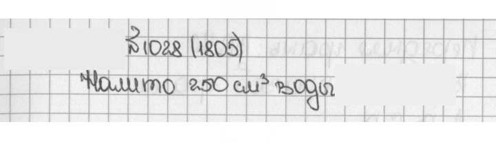 Скан решения номера 1028 (1805)