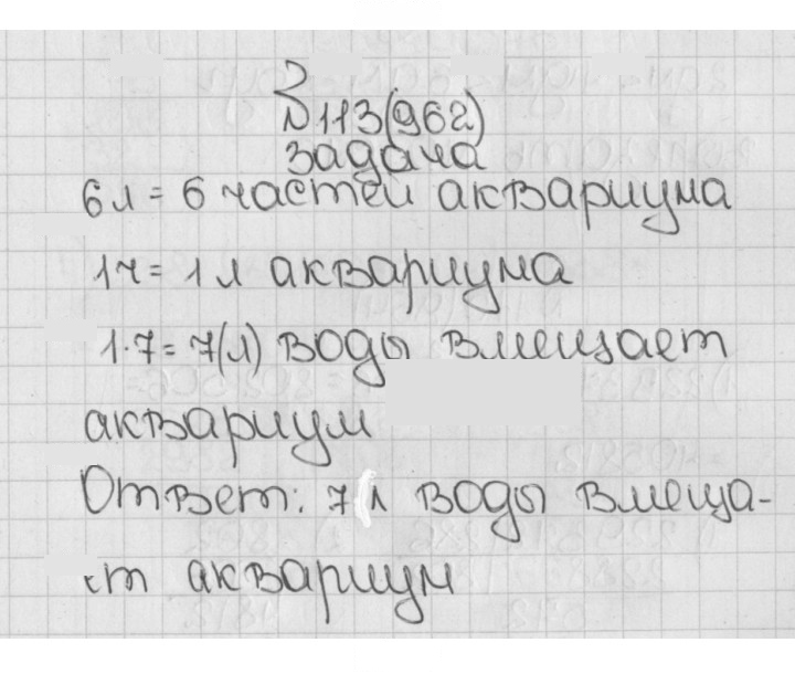 Скан решения номера 113 (962)