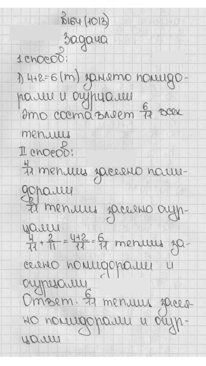 Скан решения номера 164 (1013)
