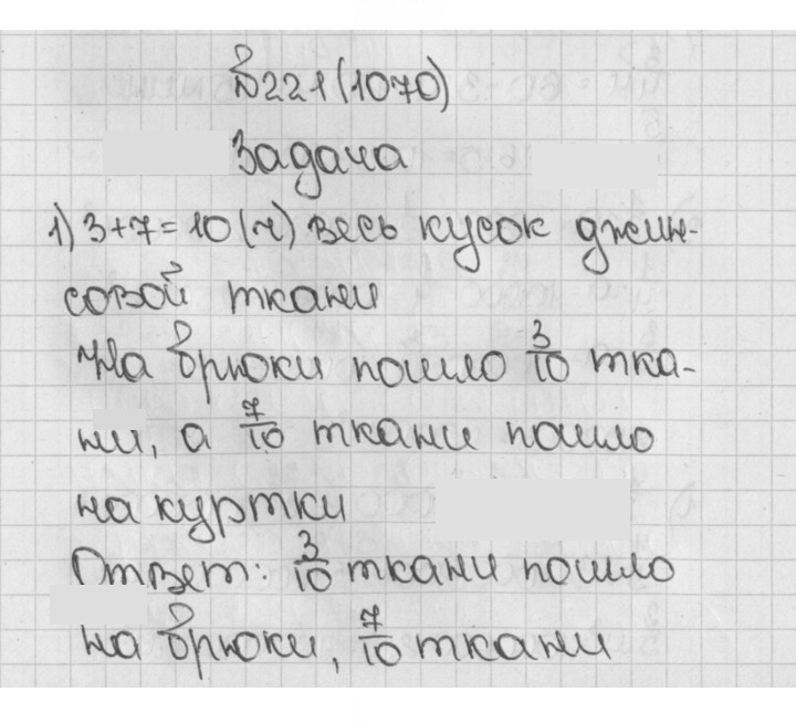 Скан решения номера 221 (1070)