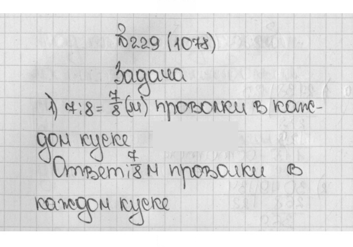 Скан решения номера 229 (1078)