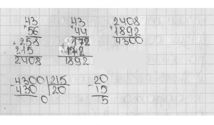 Скан решения номера 294 (1143)