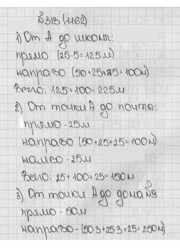 Скан решения номера 313 (1162)