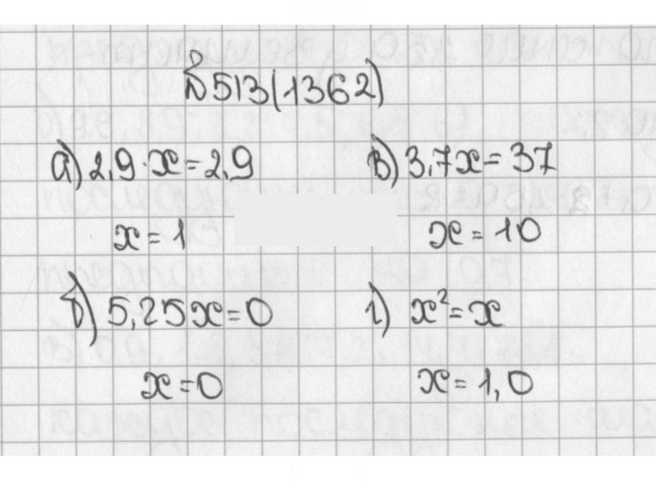 Скан решения номера 513 (1362)