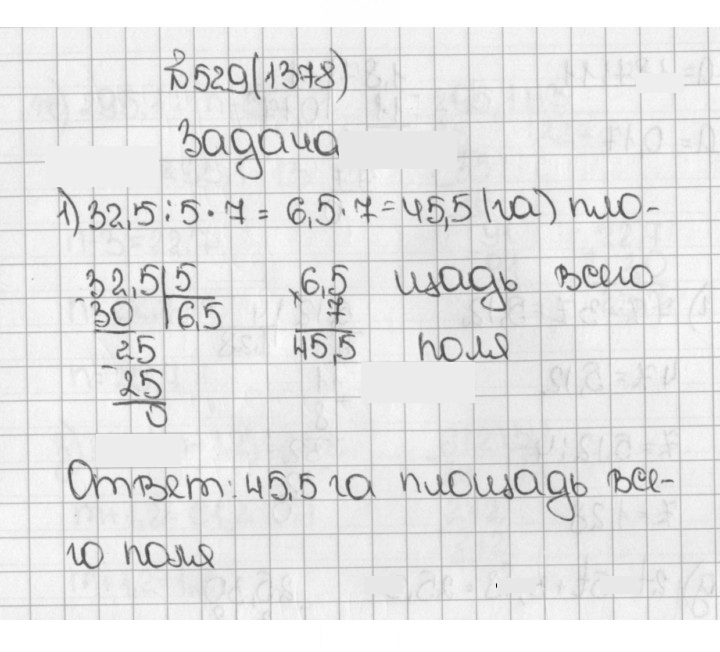 Скан решения номера 529 (1378)