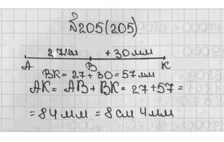 Скан решения номера 205 (205)