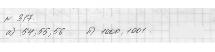 Скан решения номера 317 (317)