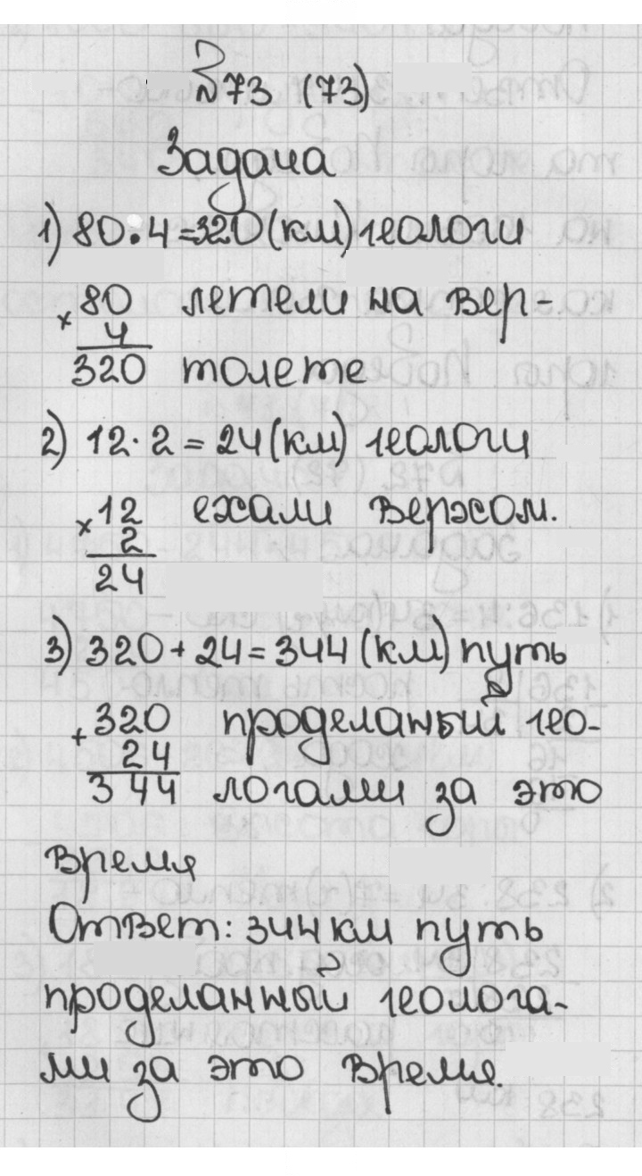 Скан решения номера 73 (73)