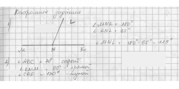 Скан решения номера §29