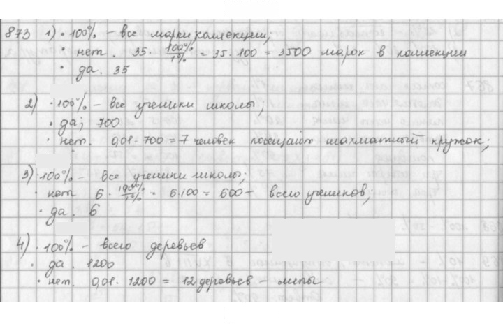 Скан решения номера 873