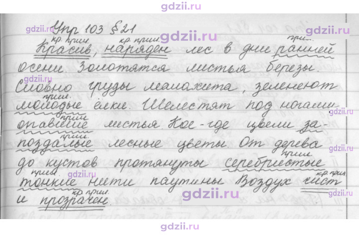 Скан решения номера 103