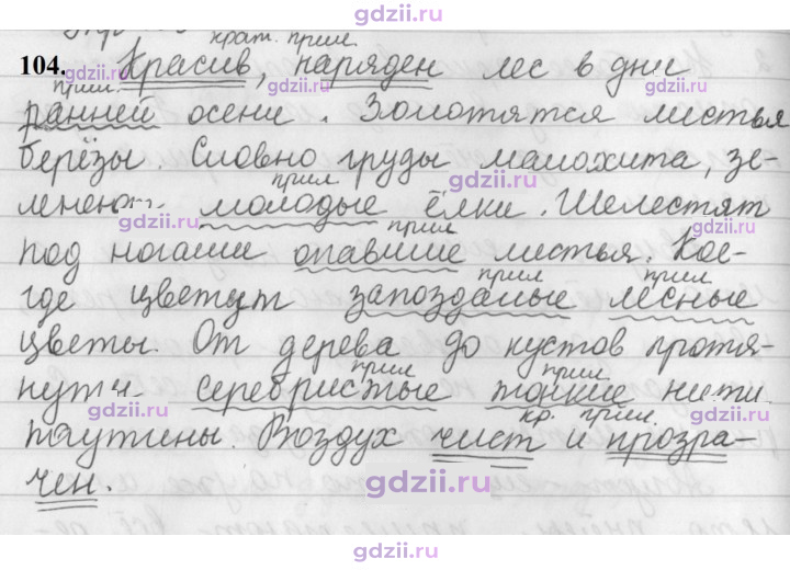 Скан решения номера 104