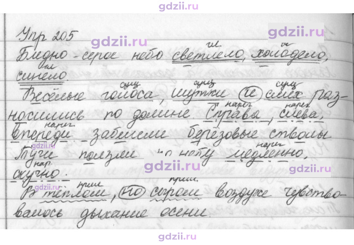 Скан решения номера 205
