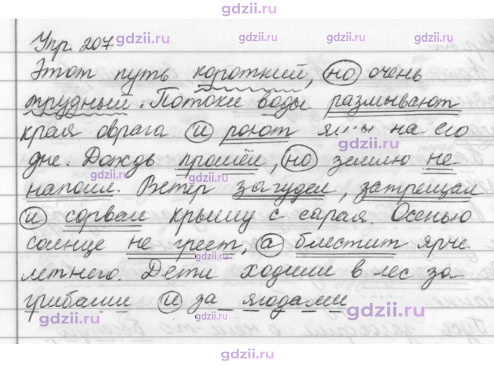 Скан решения номера 207