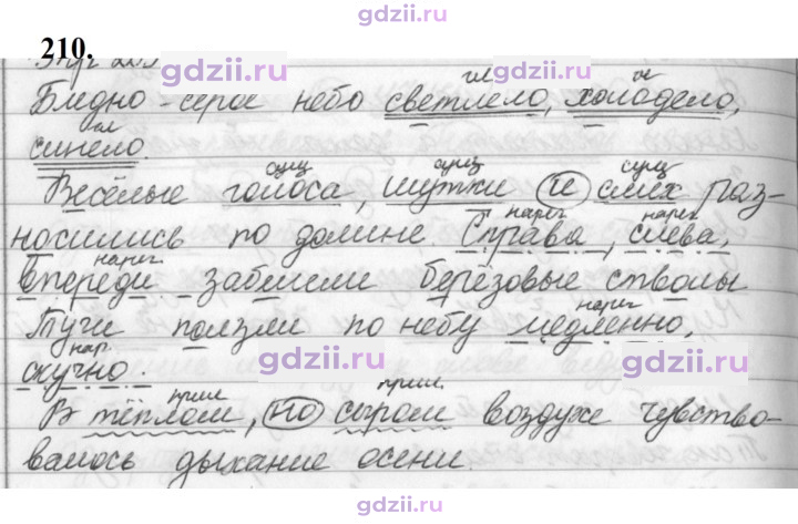 Скан решения номера 210