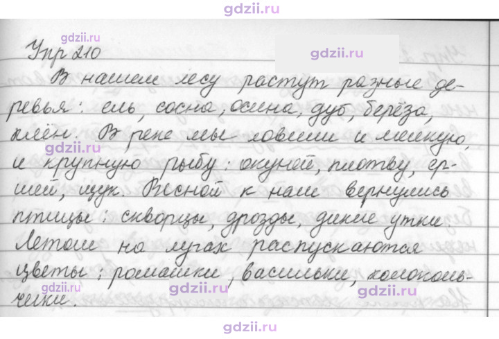 Скан решения номера 210