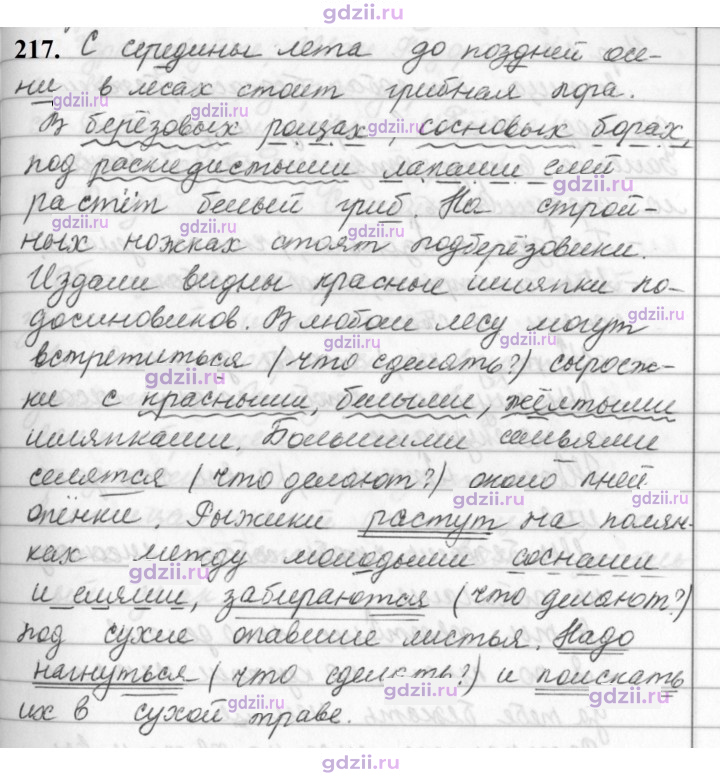 Скан решения номера 217