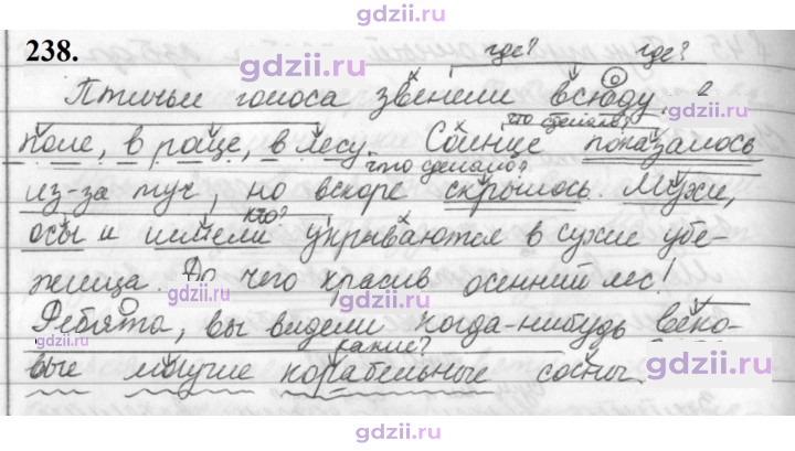 Скан решения номера 238