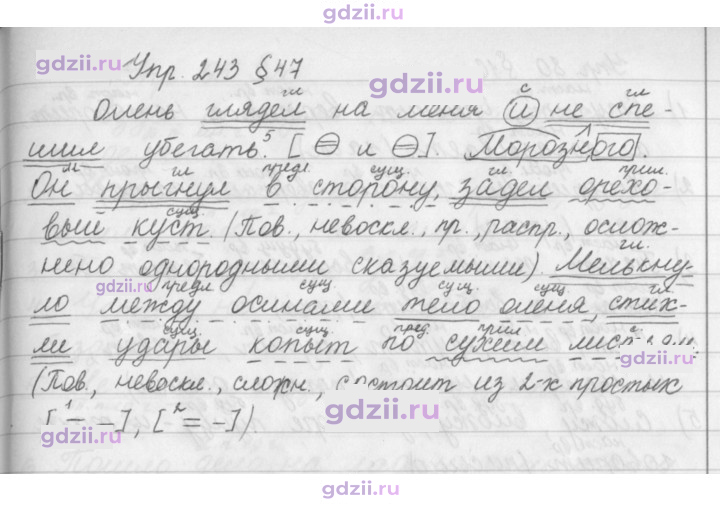 Скан решения номера 243
