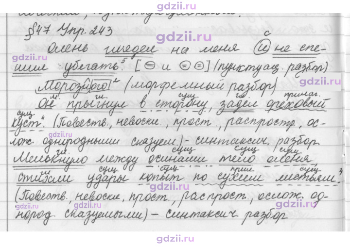 Скан решения номера 243