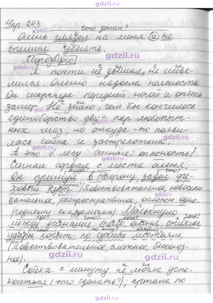 Скан решения номера 243