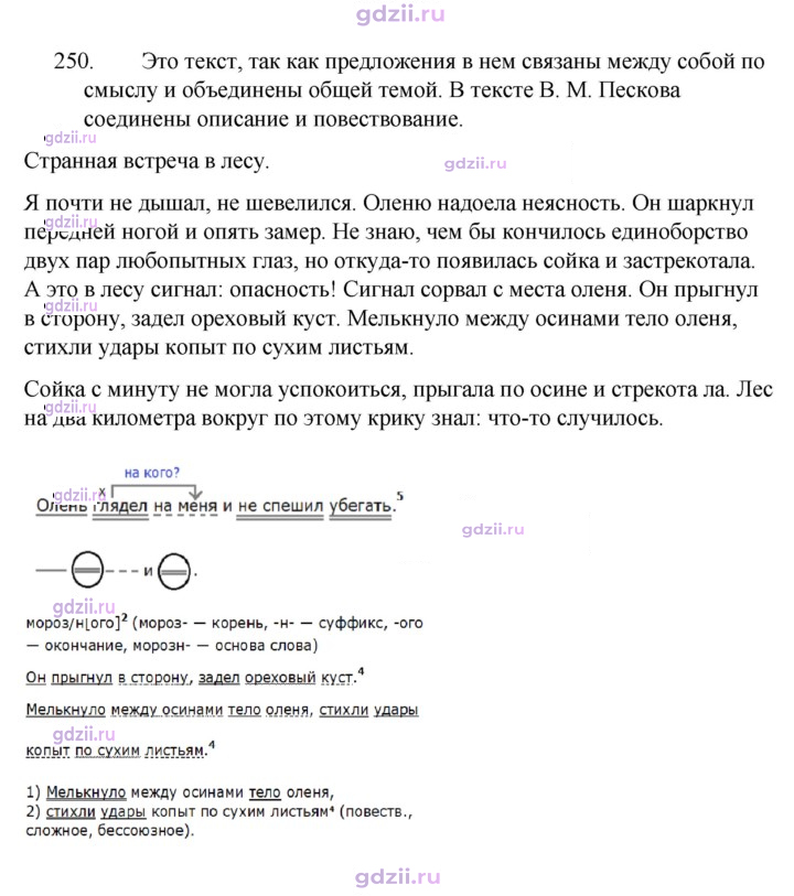 Скан решения номера 250