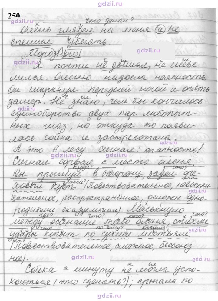 Скан решения номера 250
