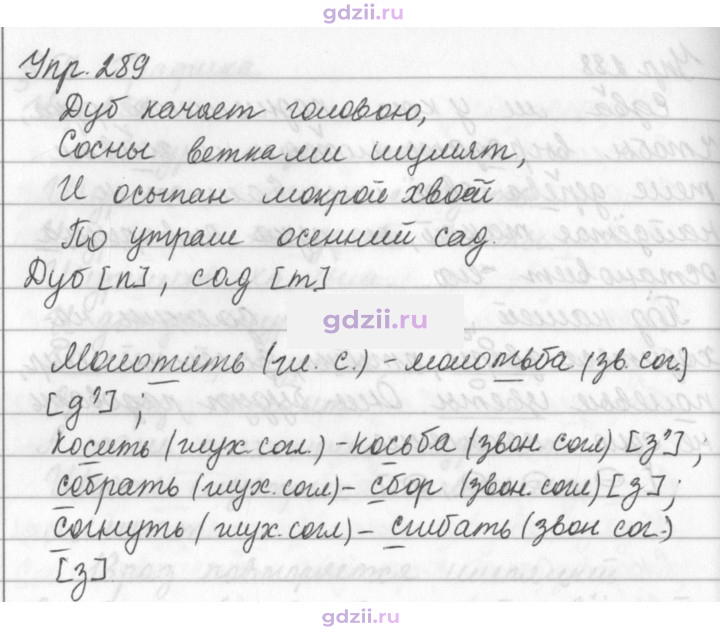 Скан решения номера 289