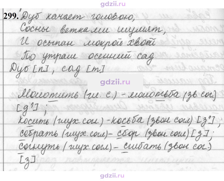 Скан решения номера 299