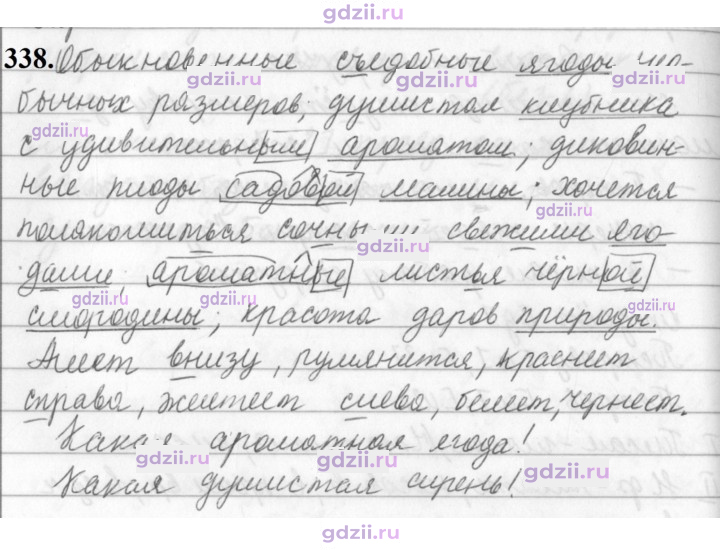 Скан решения номера 338