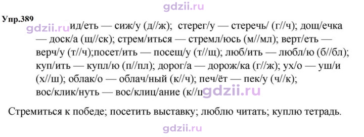 Скан решения номера 389