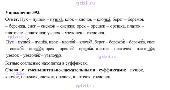 Скан решения номера 393