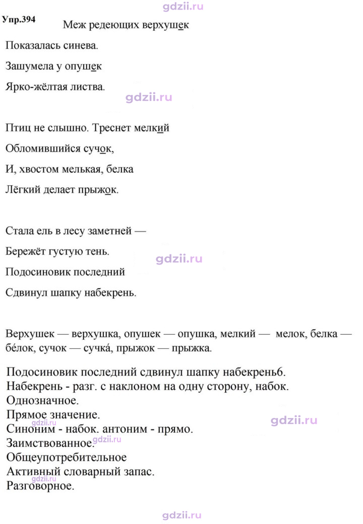 Скан решения номера 394