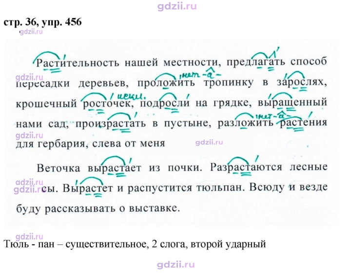 Скан решения номера 456