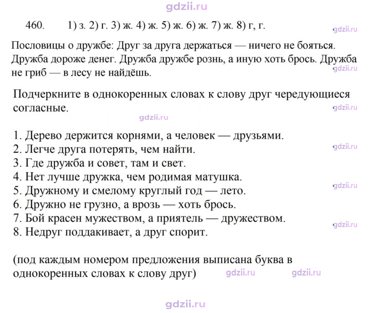 Скан решения номера 460