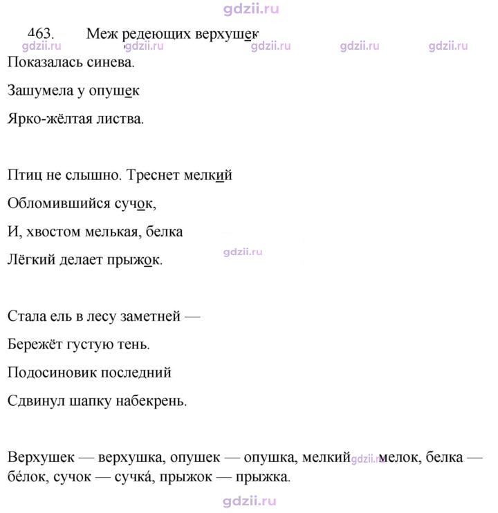 Скан решения номера 463