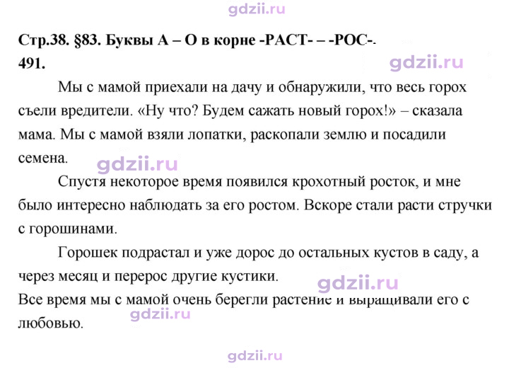Скан решения номера 491