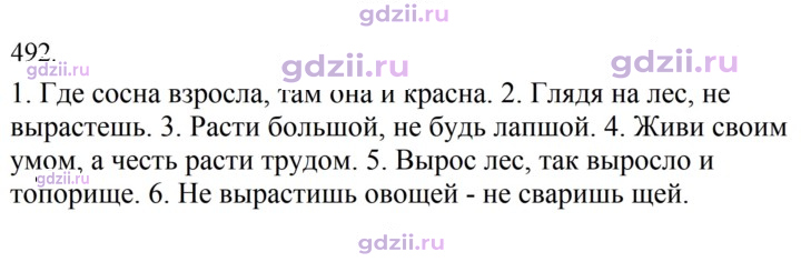 Скан решения номера 492